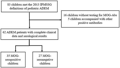 Clinical, radiological, therapeutic and prognostic differences between MOG-seropositive and MOG-seronegative pediatric acute disseminated encephalomyelitis patients: a retrospective cohort study